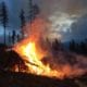 Wildfire Risk Reduction