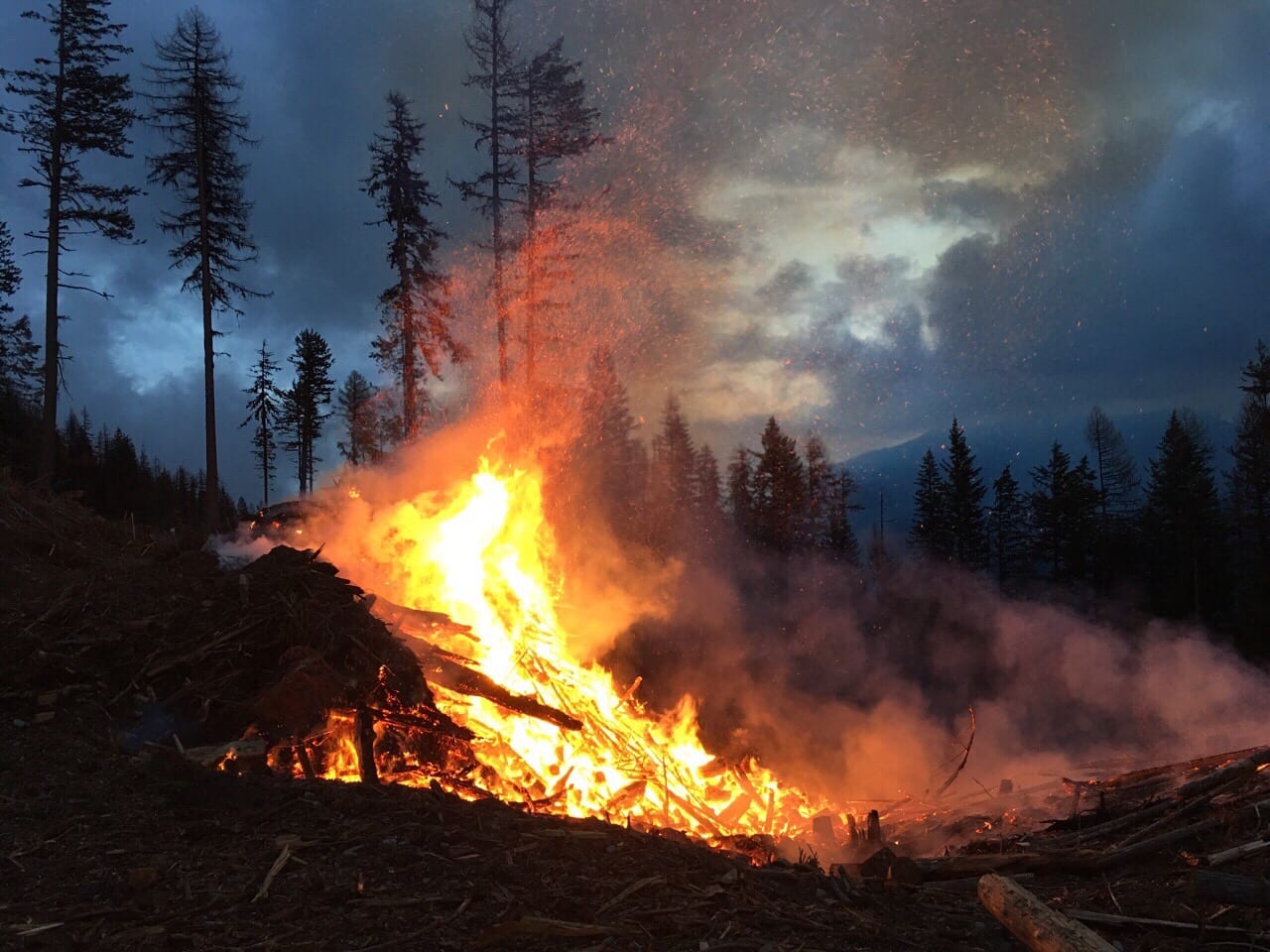 2021 Wildfire Risk Reduction (WRR) funding released Kaslo & District