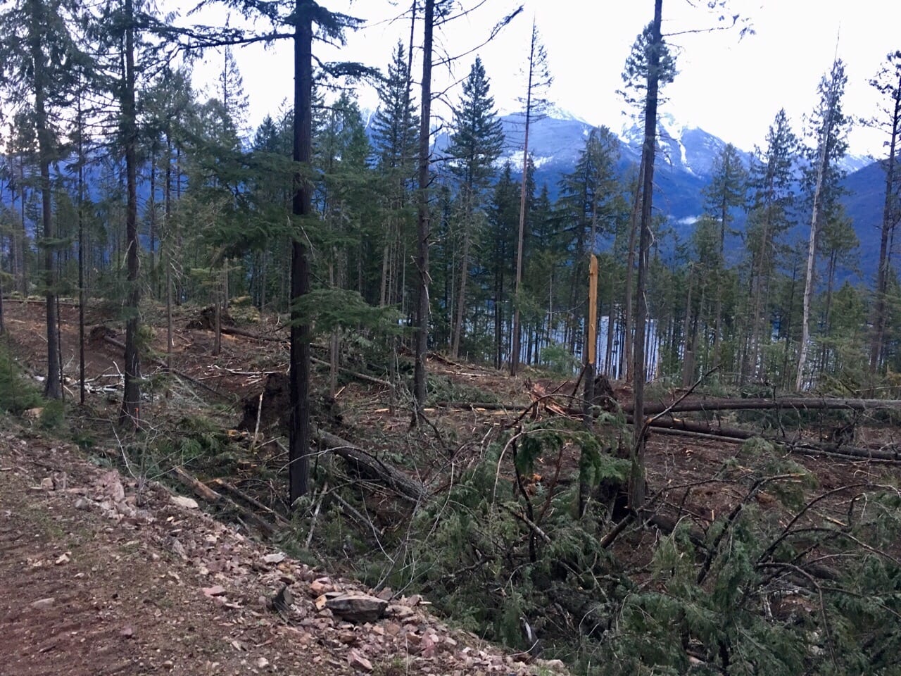 Kaslo Shutty Wildfire Corridor Update Kaslo & District Community