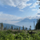 view of the mountains through a cut block in kaslo, bc