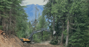 Logging on Forest Road