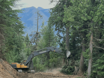 Logging on Forest Road